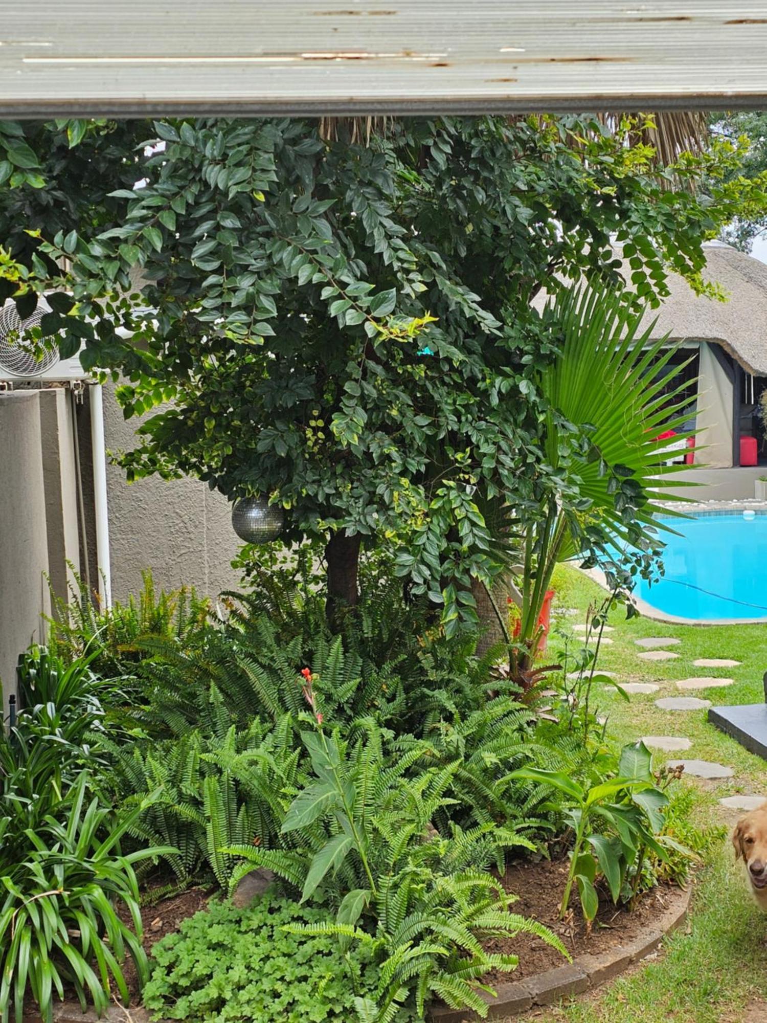 The Armagh Guesthouse Boksburg Bagian luar foto